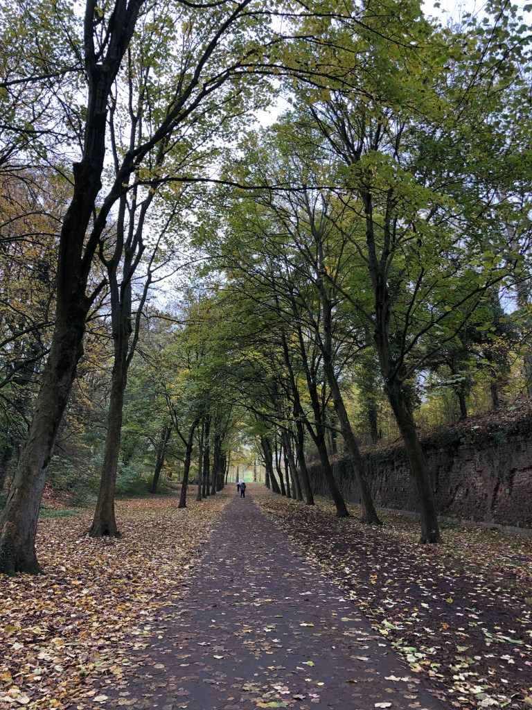 walk lille, park lille